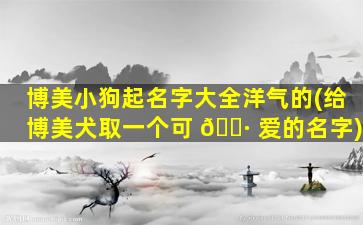 博美小狗起名字大全洋气的(给博美犬取一个可 🕷 爱的名字)
